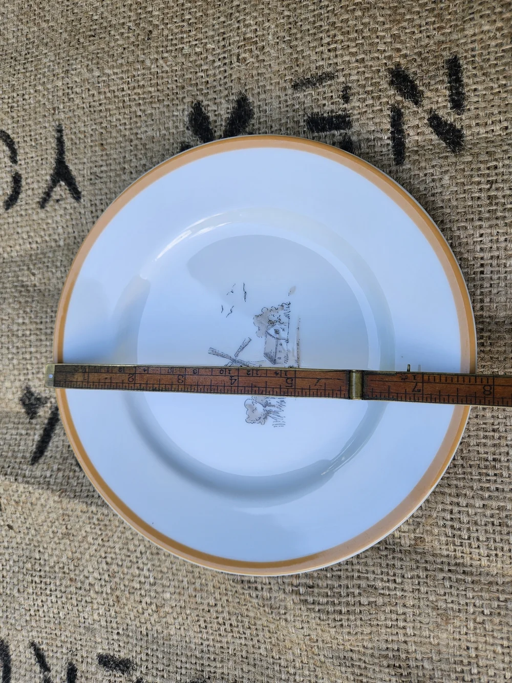 Williams-Sonoma Les Fermiers Salad Plate Windmill Orange Harvest Gold Trim